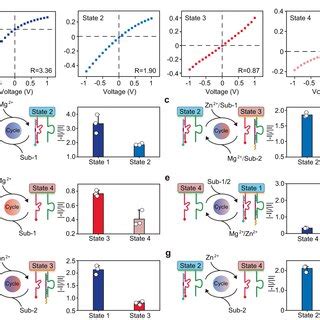 Rectifying artificial nanochannels with multiple interconvertible 